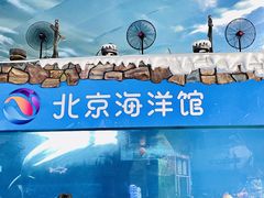 -北京海洋馆