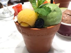 -哈根达斯(济南万象城店)