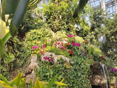 -郑州植物园