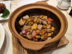紫苏酱啫啫鱼肚-稻香酒家·34年老字号·港式粤菜(侨光店)