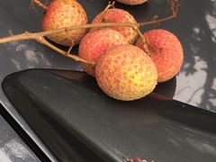 -从化深英荔枝黄皮龙眼采摘园