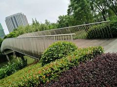 -南翔镇银翔湖公园