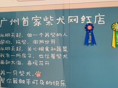 -柴犬高等学院·狗咖·柴犬售卖·宠物训练