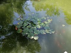 -包公祠
