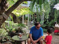 -Fern Forest Cafe