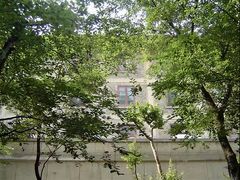 -武汉大学-樱园