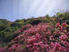 -木兰云雾山
