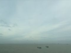 -宝安西湾红树林湿地公园