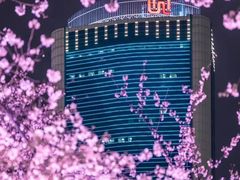 -西北湖绿化广场