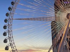 -石狮世茂摩天城摩天轮