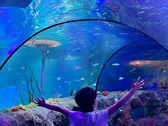 -沈阳海洋探索中心