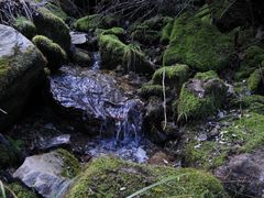 -秦岭风景区