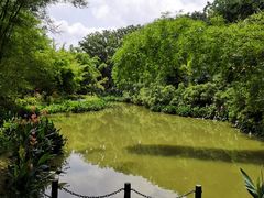 -大屏嶂森林公园