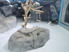 -海合安青岛极地海洋公园