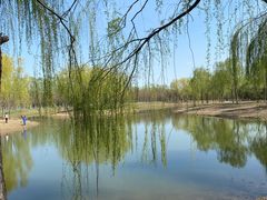 -东郊湿地公园