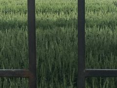 -天幕新彩云国际影城(激光巨幕店)