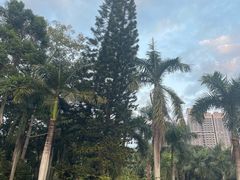 -深圳仙湖植物园