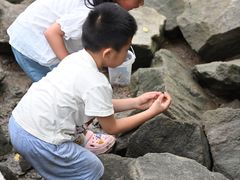 -宝安西湾红树林湿地公园