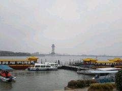 -溱湖国家湿地公园