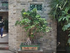 -东莞市可园博物馆