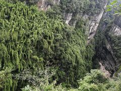 -阿依河景区