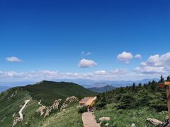 -白草畔自然风景区