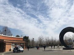 -大兴滨河森林公园