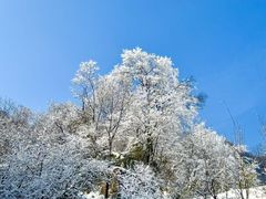 -秦岭终南山世界地质公园翠华山景区