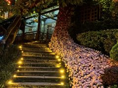-巴倒烫陆派火锅山庄(南山总店)