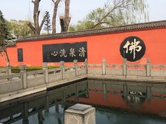 -百脉泉景区