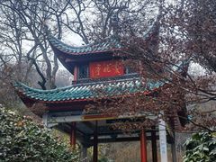 -东安鸡馆(蔡锷南路店)