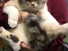 -藦茜花园宠物主题亲子互动体验馆(国顺东路店)