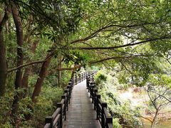 -白马涧龙池景区