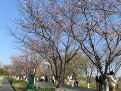 -长田漾湿地公园