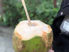 -深圳野生动物园