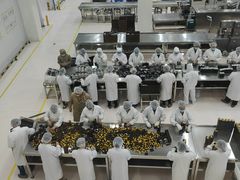 -歌斐颂巧克力小镇