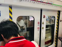 -大望路(地铁站)