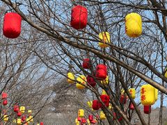 -南京圣和府邸豪华精选酒店