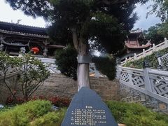 -莆田湄洲妈祖祖庙
