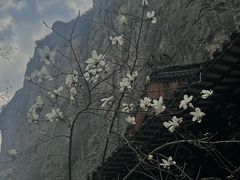 -雁荡山风景名胜区