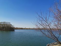 -大兴滨河森林公园