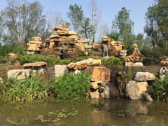 -武清南湖绿博园