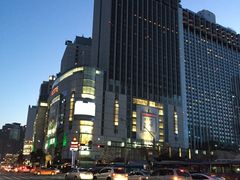 -乐天免税店(明洞店)