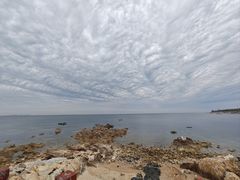 -海岛日记(养马岛店)