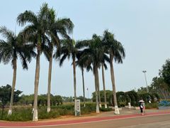 -万绿园