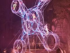 -广州长隆国际大马戏