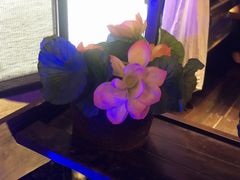 -佬麻雀·新湘菜(珠海金发购物中心店)