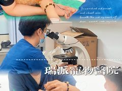 -瑞派新吉太郎宠物医院·重症转诊中心·泌尿道(嘉禾望岗院)