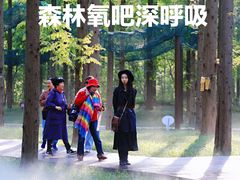 -黄海国家森林公园