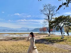 -洱海月湿地公园